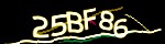 show_captcha